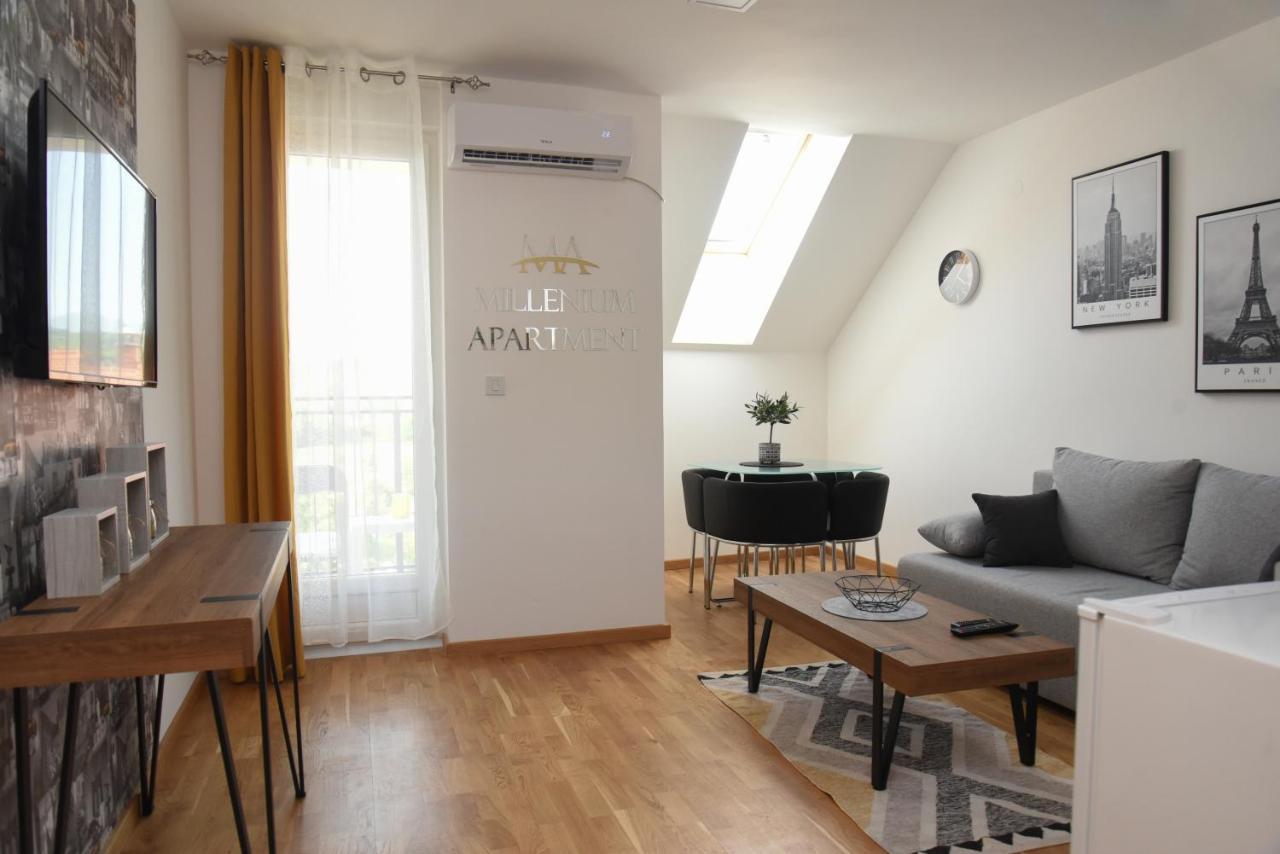 Millenium Apartment Soko Banja Luaran gambar